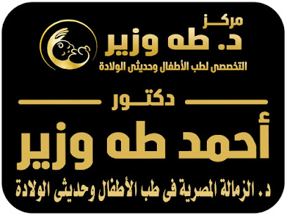 طه وزير التخصصي