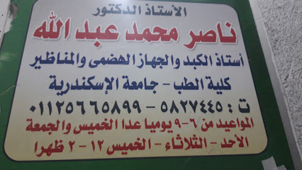 Nasr Mohamed Abdallah