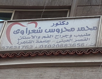 محمد محروس شعراوى