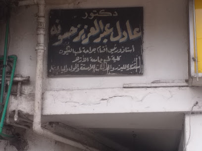 Adel Abdelaziz Hswnh