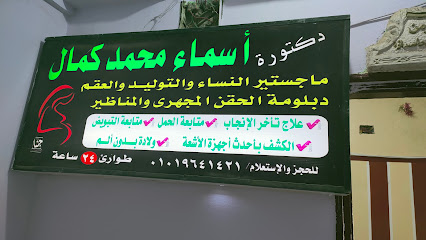 Asmaa Mohamed Kamal