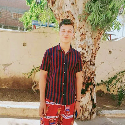 Ahmed Grieb