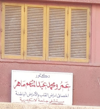 Amr Mohamed Abdelmoneim Mahr