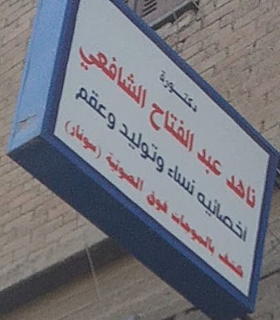 Nahd Abdelfattah El-Shafay