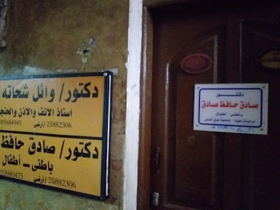 صادق حافظ صادق
