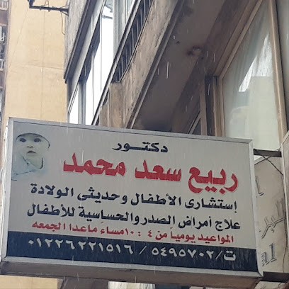 Rbya Saad Mohamed
