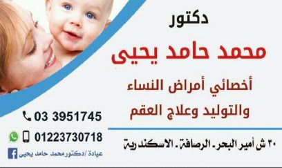 Mohamed Hamd Yehia