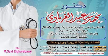 Mohamed Said El-Ghrbawy