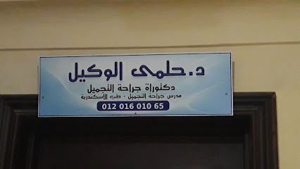 حلمى الوكيل