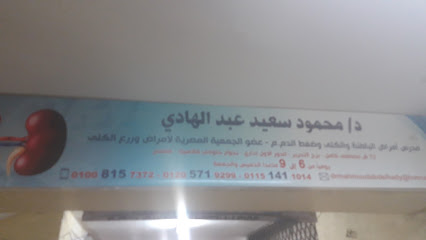 Mahmoud Said Abdelhady