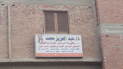 عبد العزيز محمد