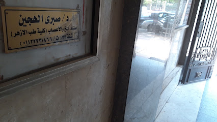 صبرى الهجين