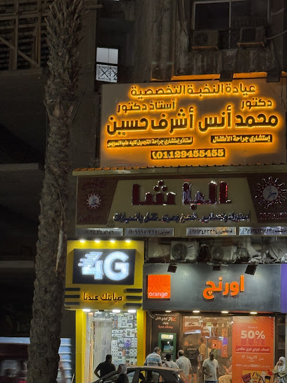 محمد انس