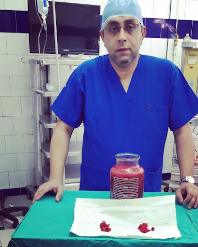 Ahmed El-Ghzaly