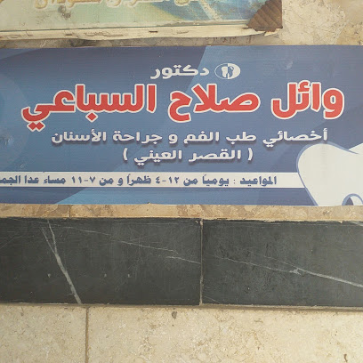 وائل صلاح السباعي
