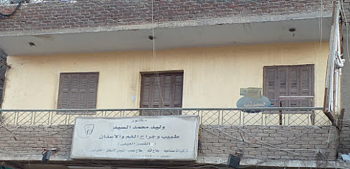 Walid Mohamed El-Sayed