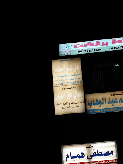 أمل أبو النصر