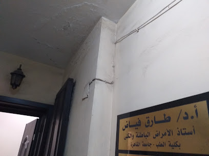 طارق فياض