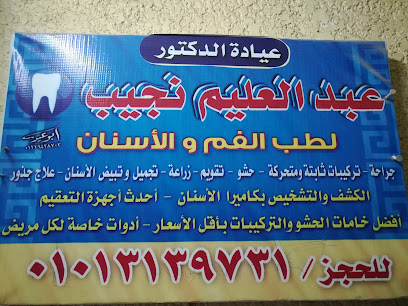 عبدالعليم نجيب
