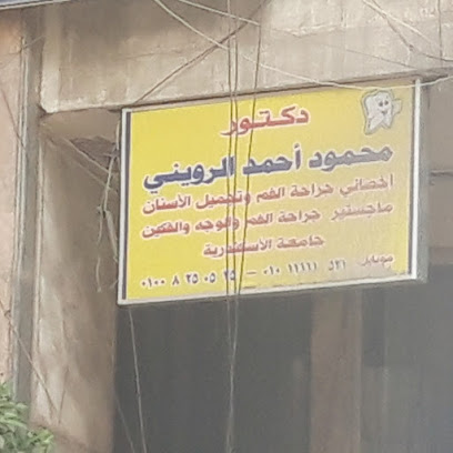 Mahmoud Ahmed El-Rwyny