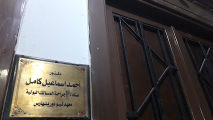 أحمد اسماعيل كامل
