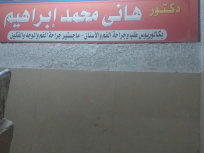 Hany Mohamed Ibrahim