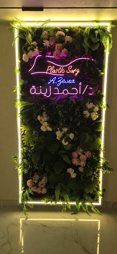 أحمد زينه