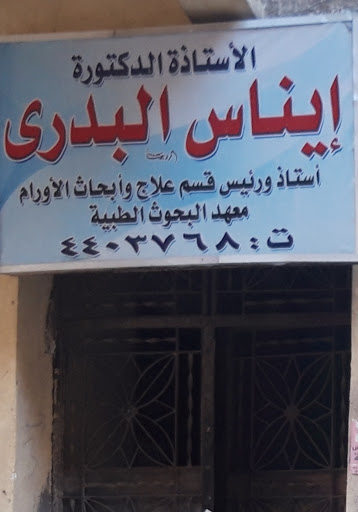 إيناس البدرى