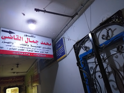محمد القاضى