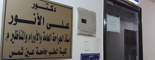 Ali El-Anwr