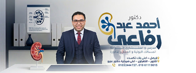احمد عيد رفاعي