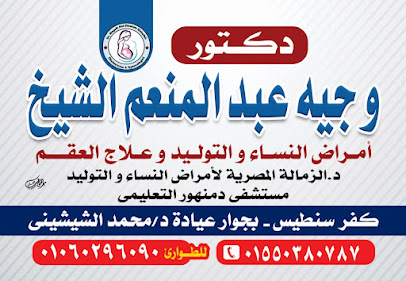 Wgyh El-Shykh