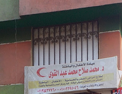 Mohamed Salah Mohamed Abdalkwy