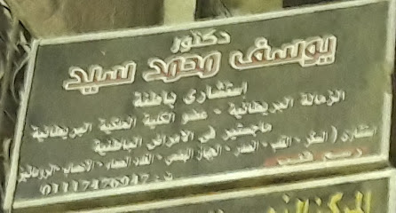 يوسف محمد سيد