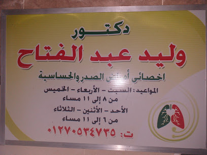 Walid Abdelfattah