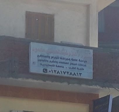 Ala Abdelaty Mahmoud