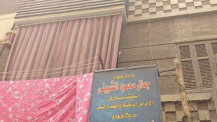 جمال محمود الشبينى