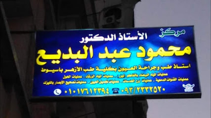 محمود عبد البديع محمد