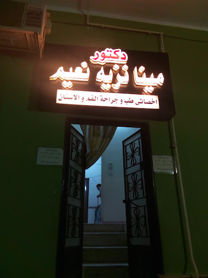 مينا نزيه