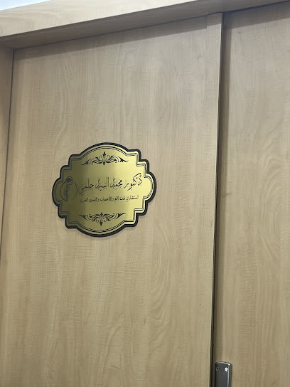 محمد السيد حلمي