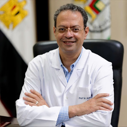 عمرو الحديدي