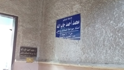Mohamed Ahmed Gab El-Lh