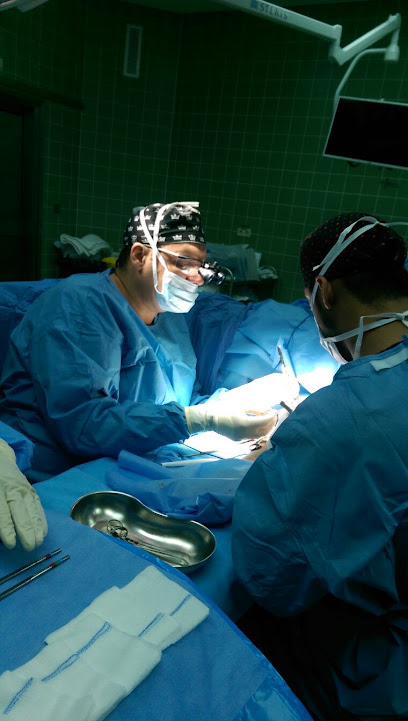 Ayman Saad El-Said