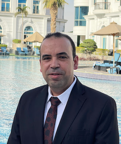 Ayman Abdelhady El-Msydy