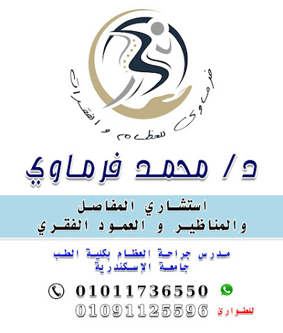Mohamed Frmawy