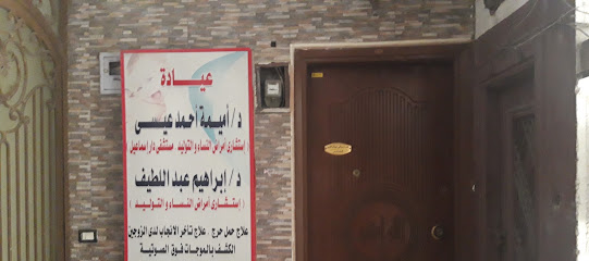 أميمة أحمد عيسى