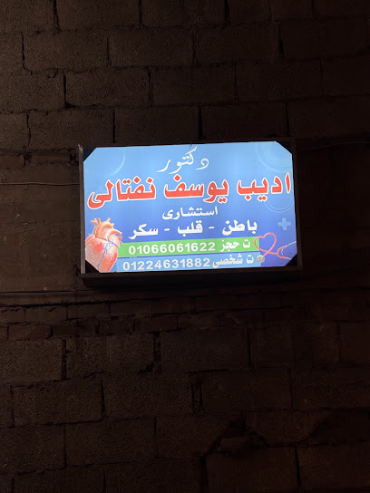 Adyb Youssef Nftaly