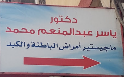 Yasser Abdelmoneim Mohamed