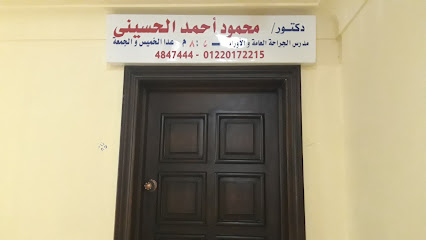 محمود أحمد الحسينى