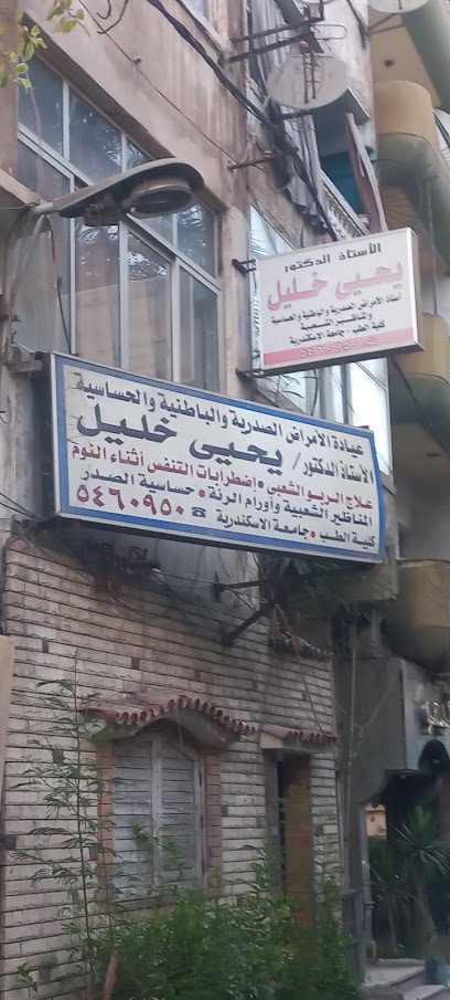 يحيى خليل